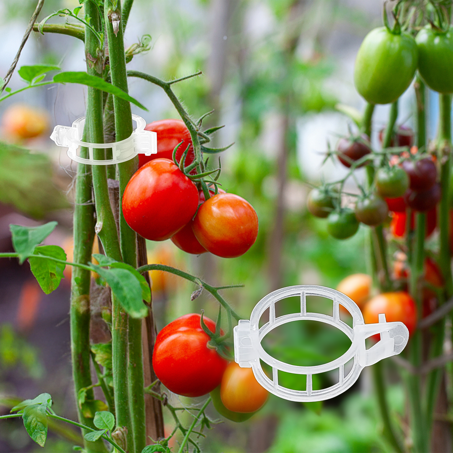 180 Pcs Clear Plastic Plant Support Clips, Garden Trellis Clips for Vegetables, Tomatoes & Climbing Plants to Grow Upright & Healthier