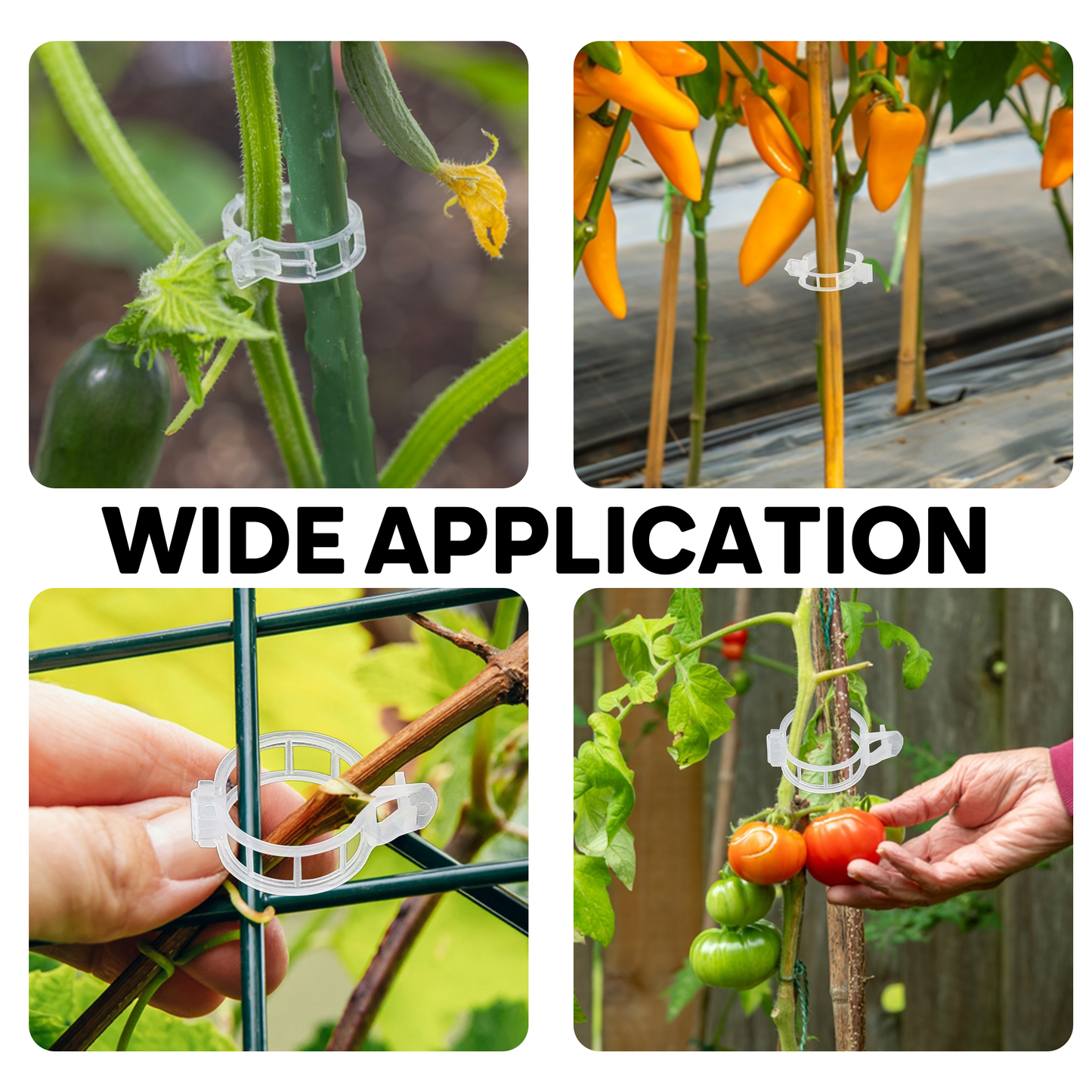 180 Pcs Clear Plastic Plant Support Clips, Garden Trellis Clips for Vegetables, Tomatoes & Climbing Plants to Grow Upright & Healthier