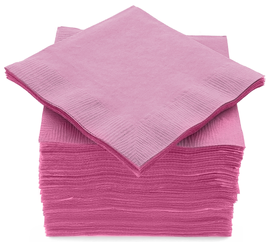 SparkSettings Beverage Napkins, 5” x 5” 2 Ply Paper Napkins, Pack of 100